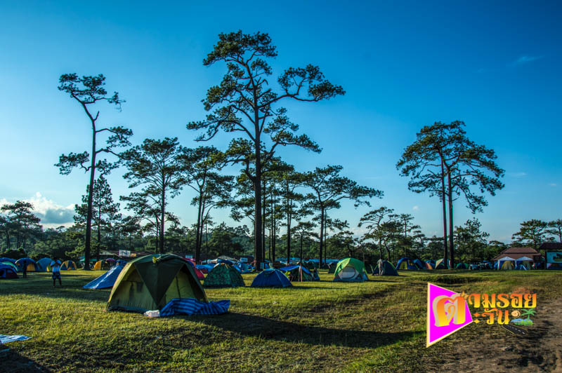 ตามรอยตะวัน