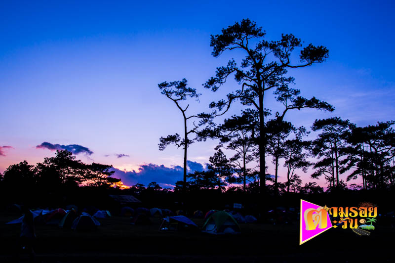 ตามรอยตะวัน