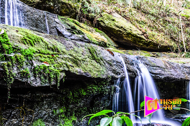 ตามรอยตะวัน