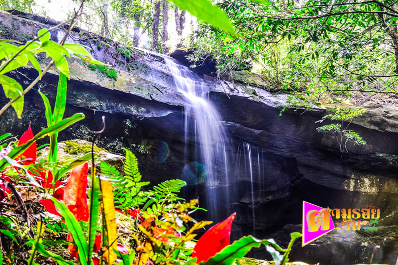 ตามรอยตะวัน