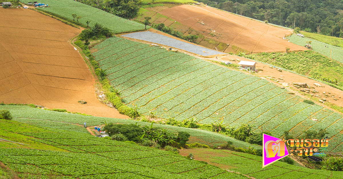 ตามรอยตะวัน