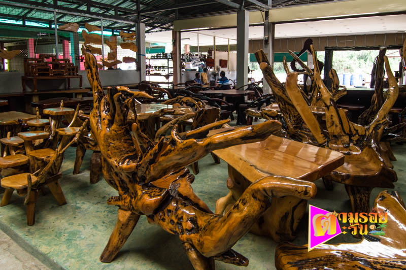 ตามรอยตะวัน