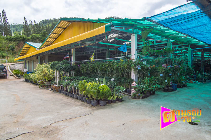 ตามรอยตะวัน