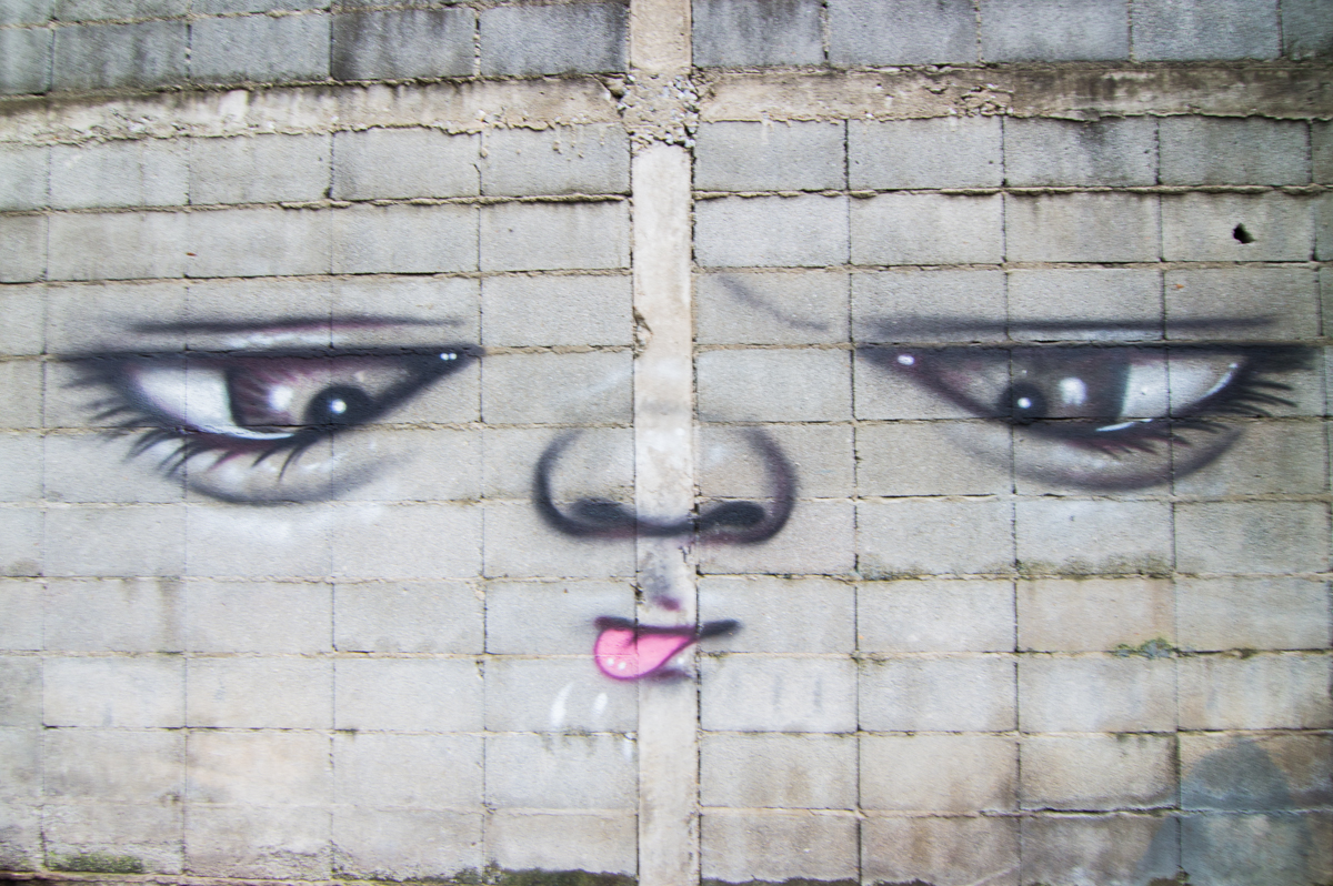 ตามรอยตะวัน