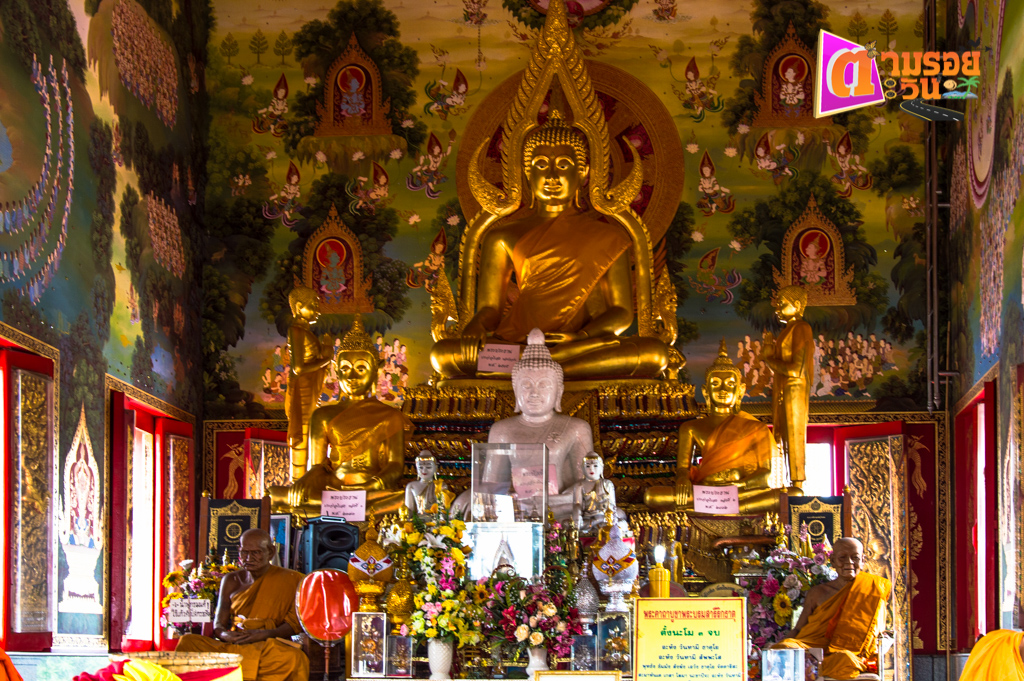 ตามรอยตะวัน