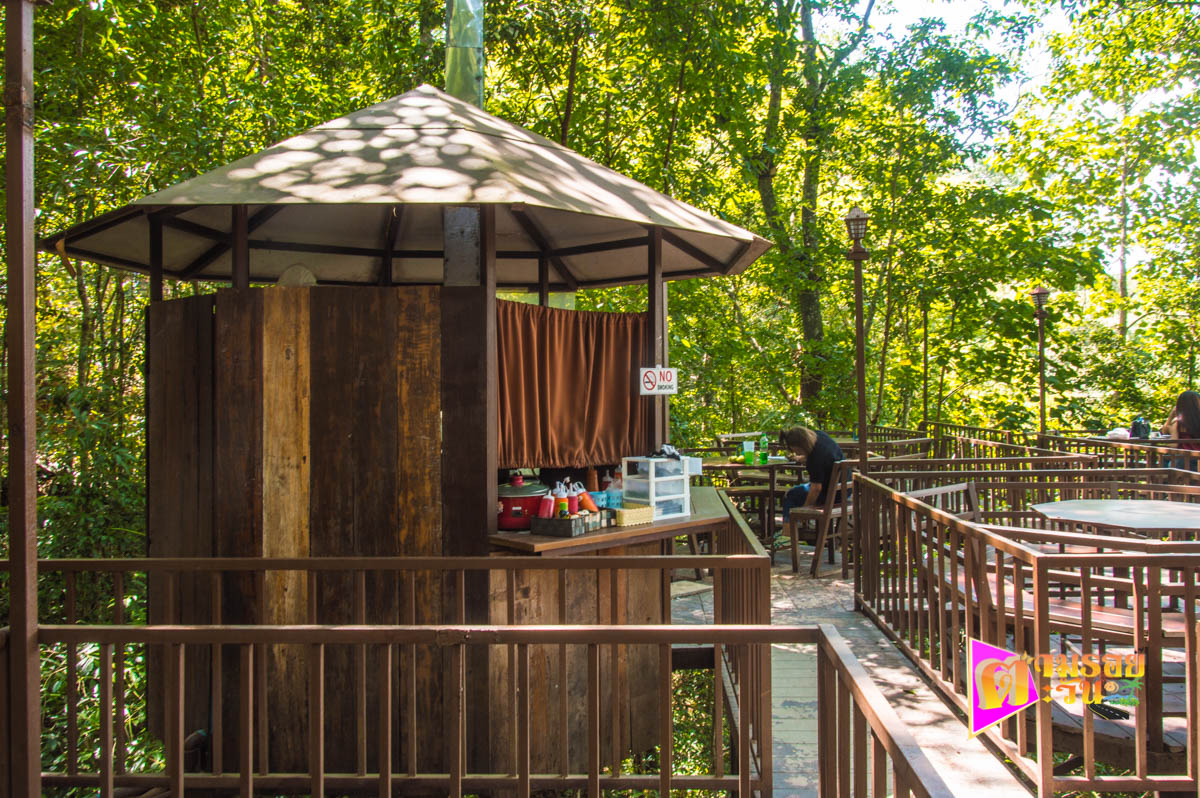 เที่ยว The Giant Chiangmai และบ้านแม่กำปอง เชียงใหม่