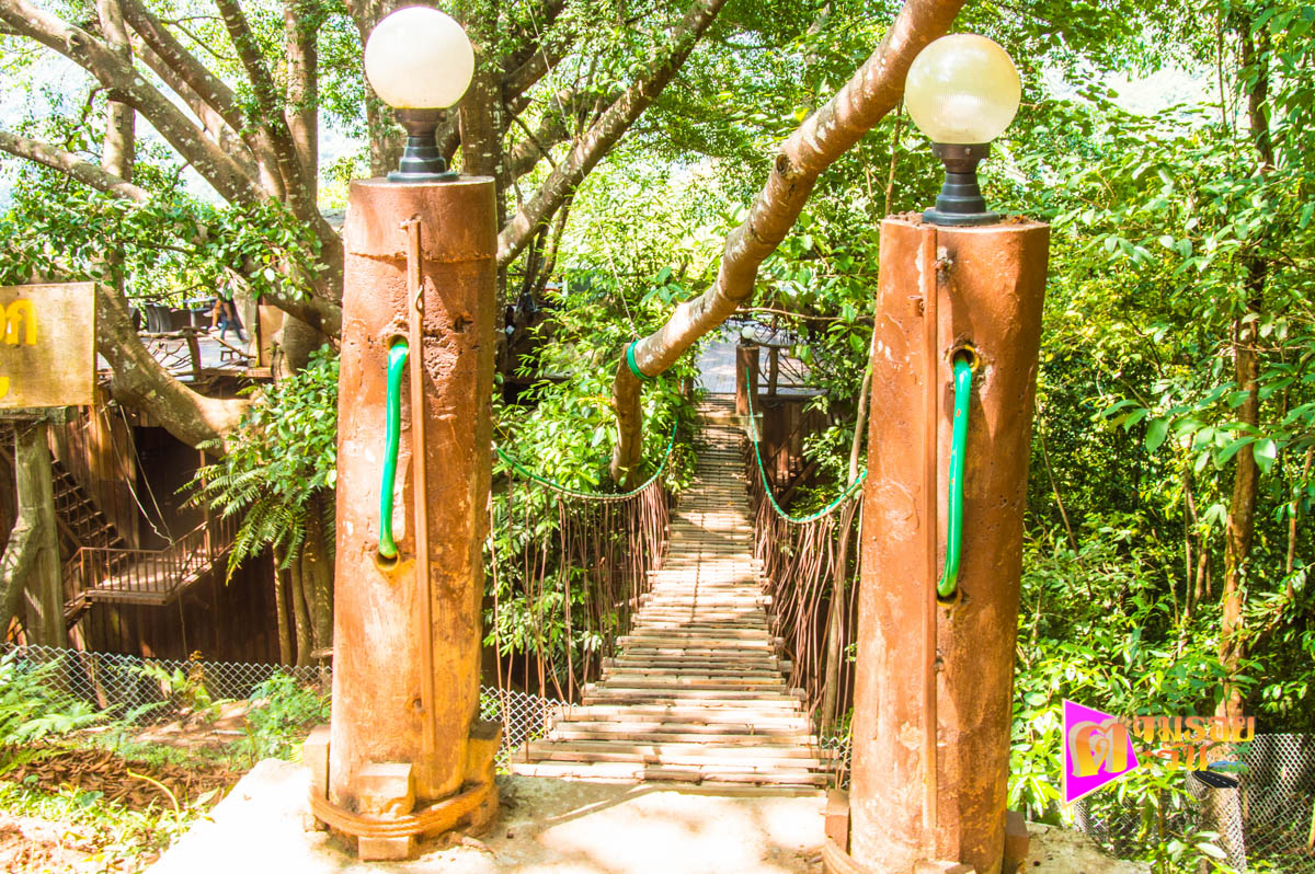 นั่งจิบกาแฟชมวิวธรรมชาติที่ The Giant Chiangmai