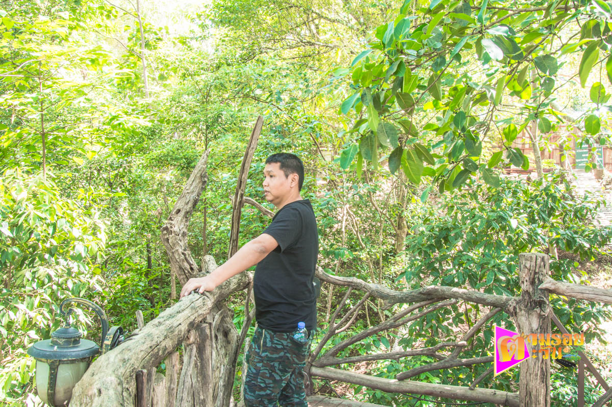 คาเฟ่ The Giant Chiangmai ท่ามกลางธรรมชาติและขุนเขา