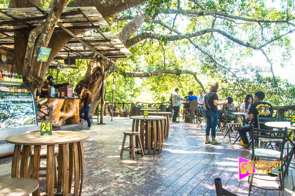 เที่ยว The Giant Chiangmai อำเภอแม่ออน จังหวัดเชียงใหม่