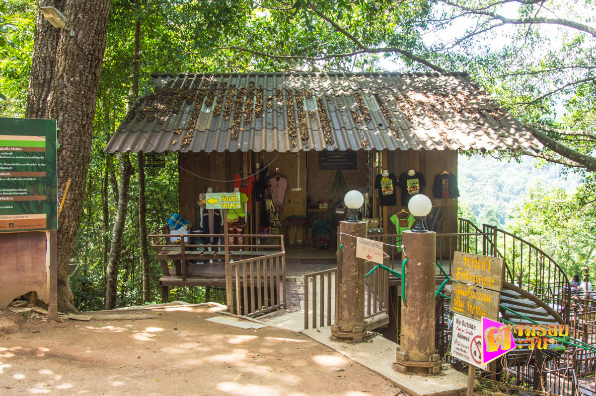 The Giant Chiangmai คาเฟ่ต้นไม้ยักษ์ บ้านป๊อก เชียงใหม่