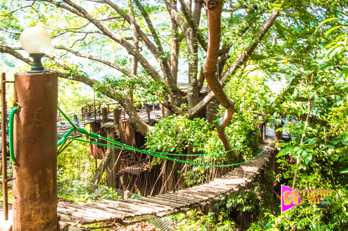 เส้นทางขึ้น The Giant Chiangmai บ้านป๊อก แม่ออน