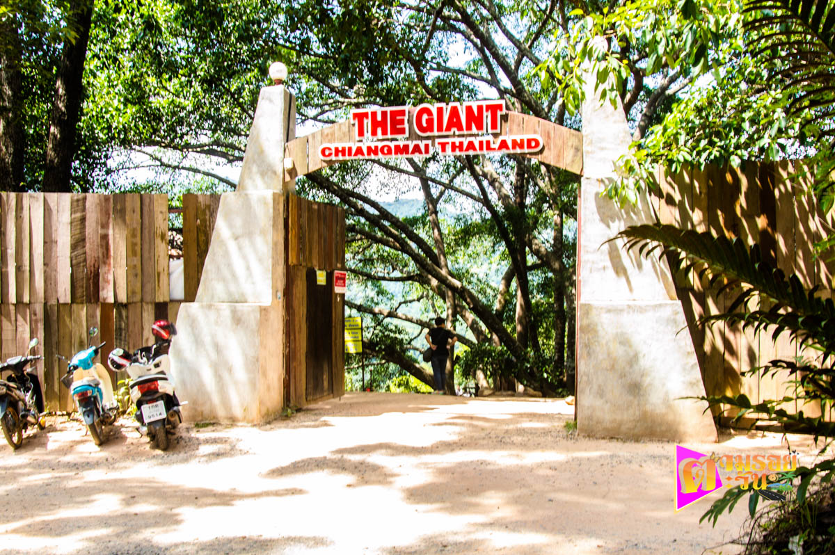 วิวภูเขาจาก The Giant Chiangmai อำเภอแม่ออน